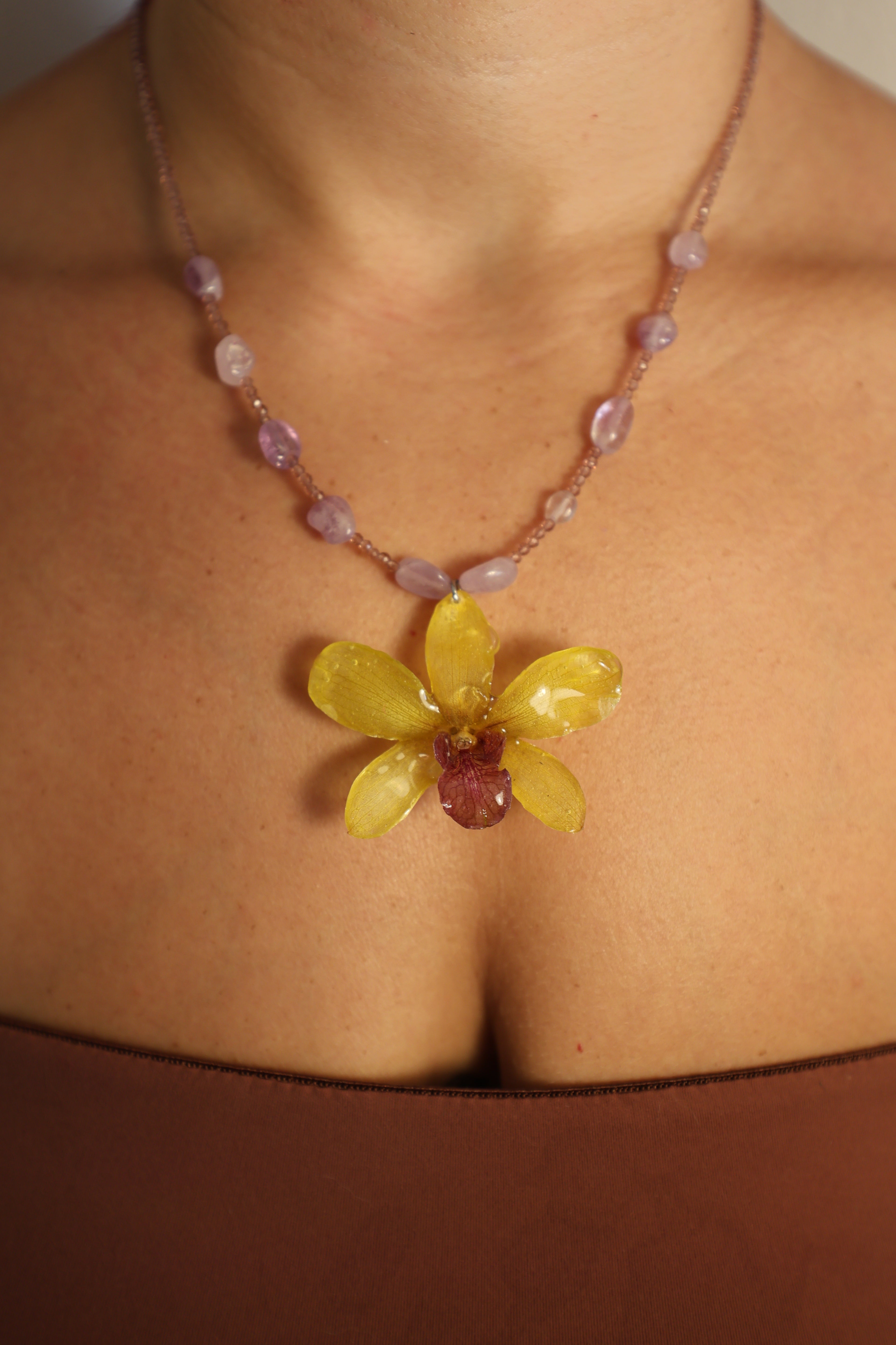 Fairy orchid