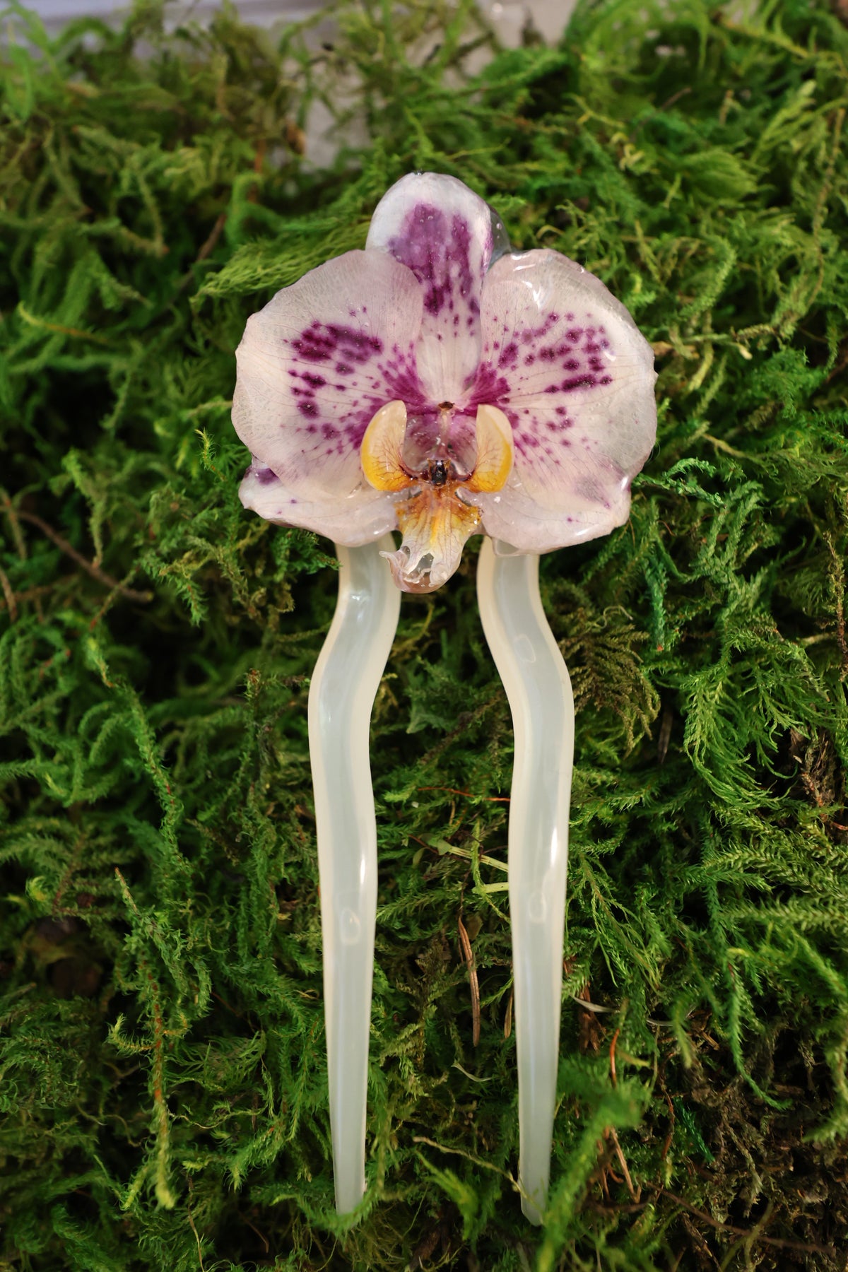 Spotted orchid, hairpin