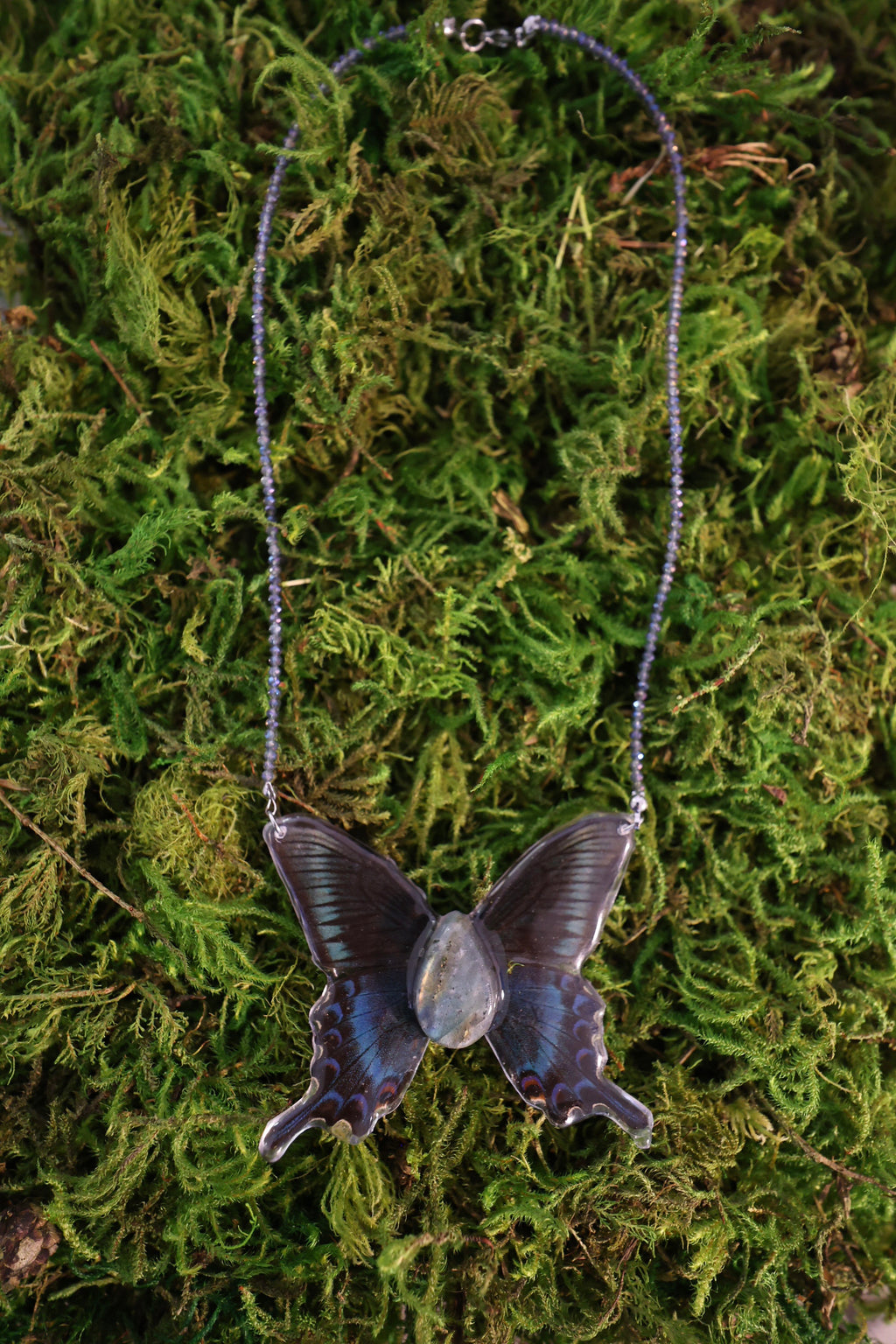 Butterfly #2 Drop 1