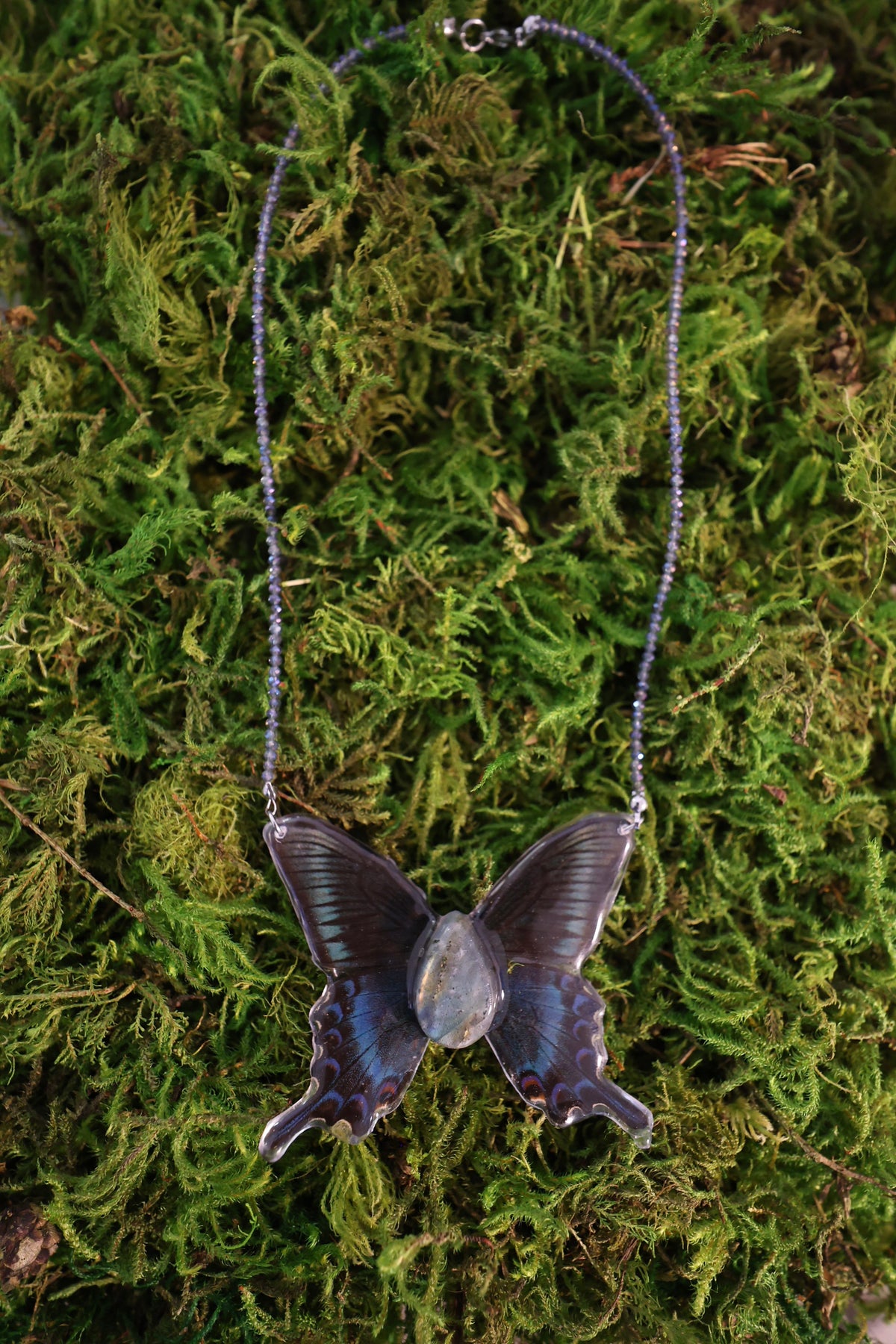 Butterfly #2 Drop 1