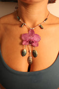 Party Abalone Orchid