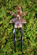 Zygo Jumpingjack orchid hair pin