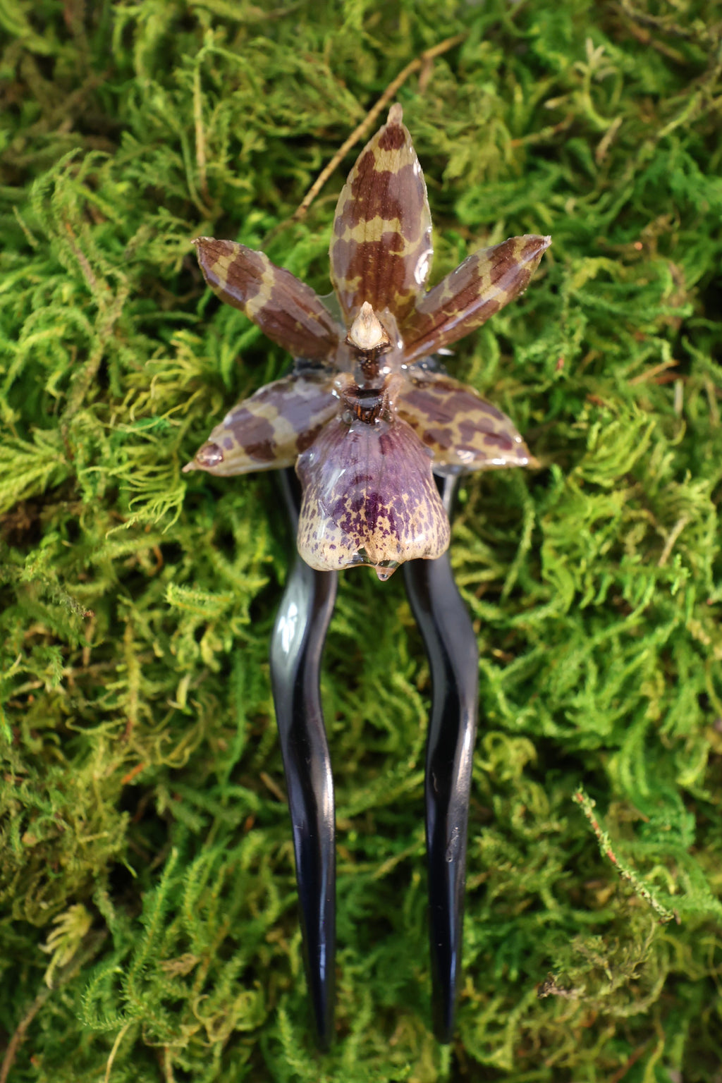 Zygo Jumpingjack orchid hair pin