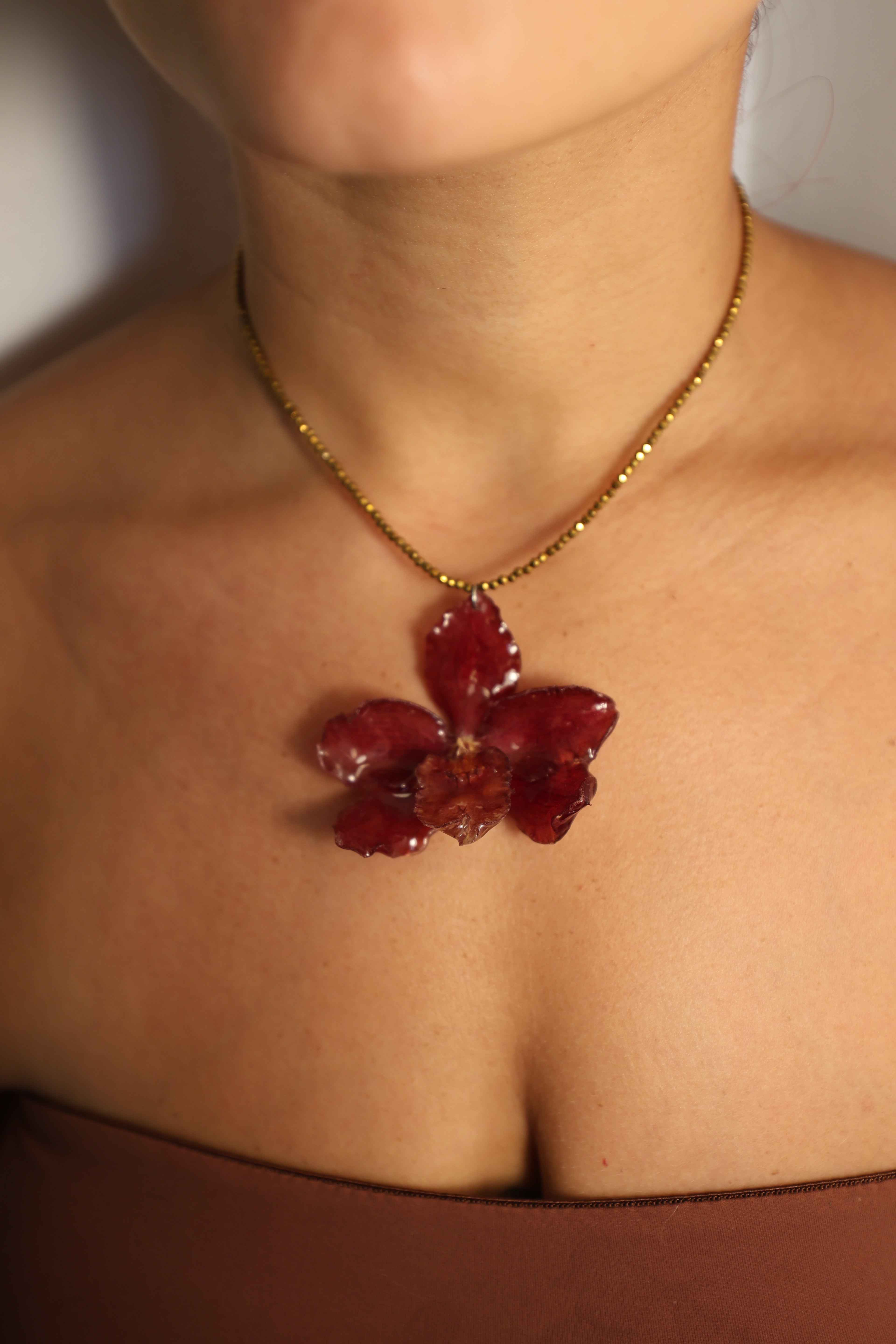 Red Orchid