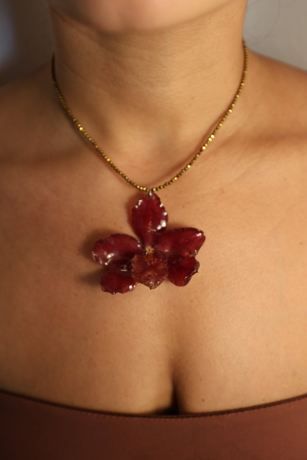 Red Orchid