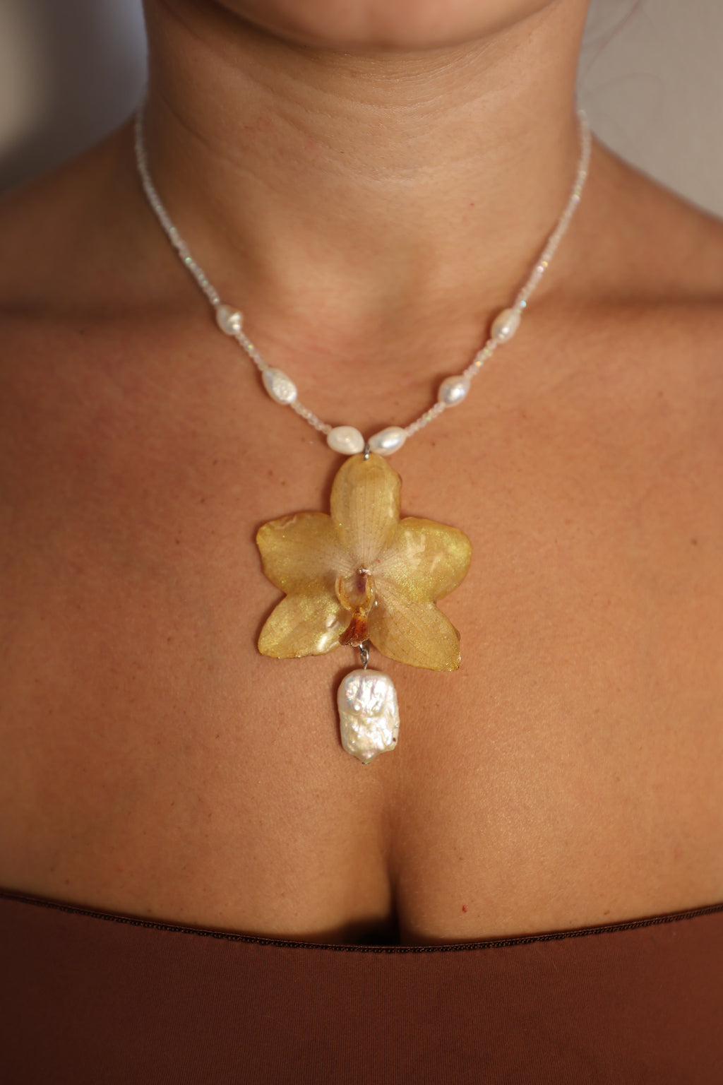 Sunshine Orchid #3