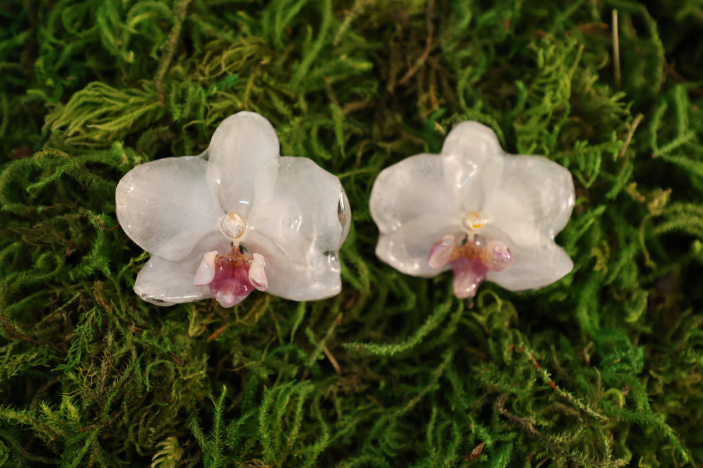 White orchid earrings