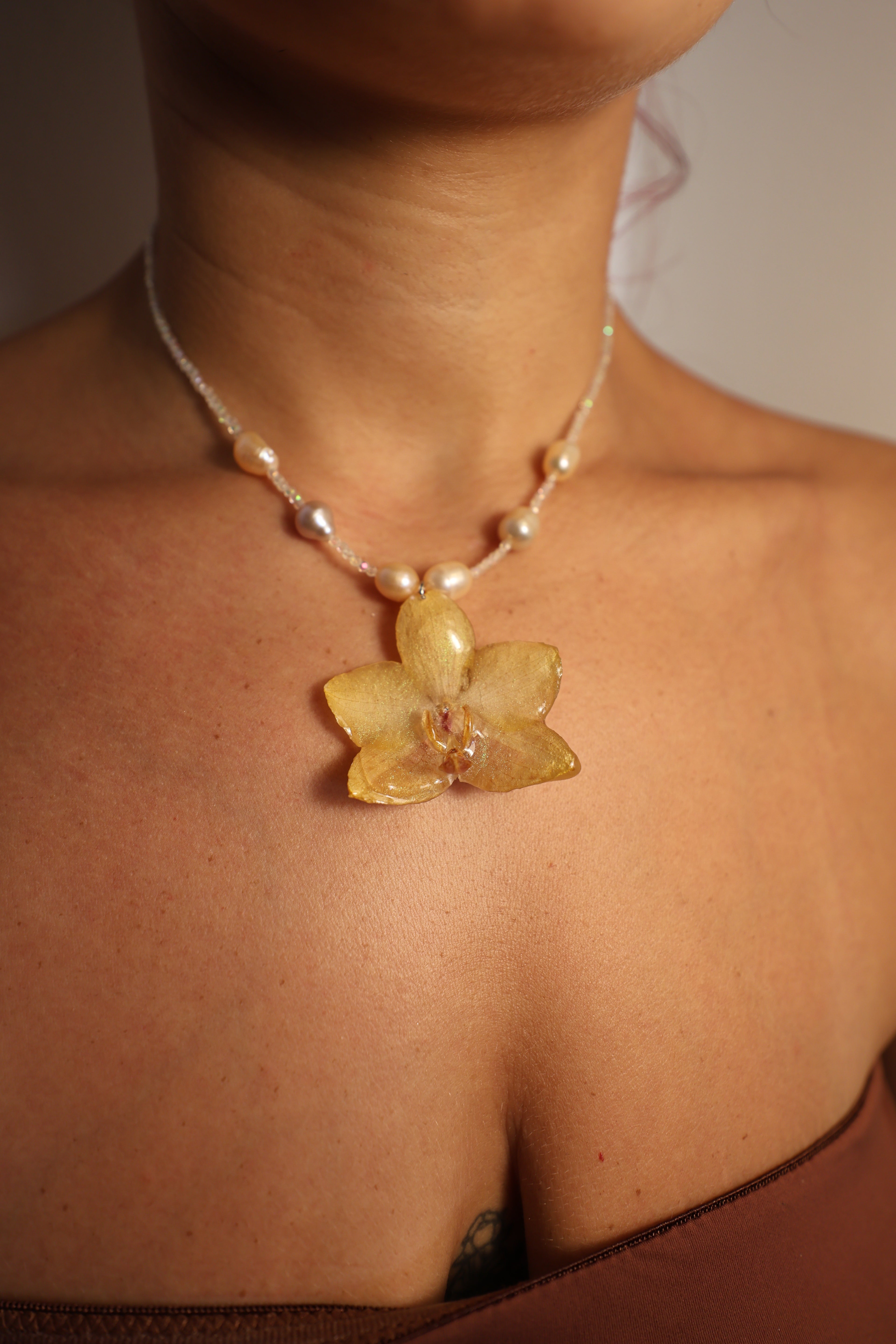 Sunshine Orchid #2