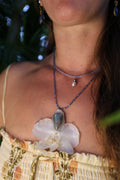 Orchid with labadorite