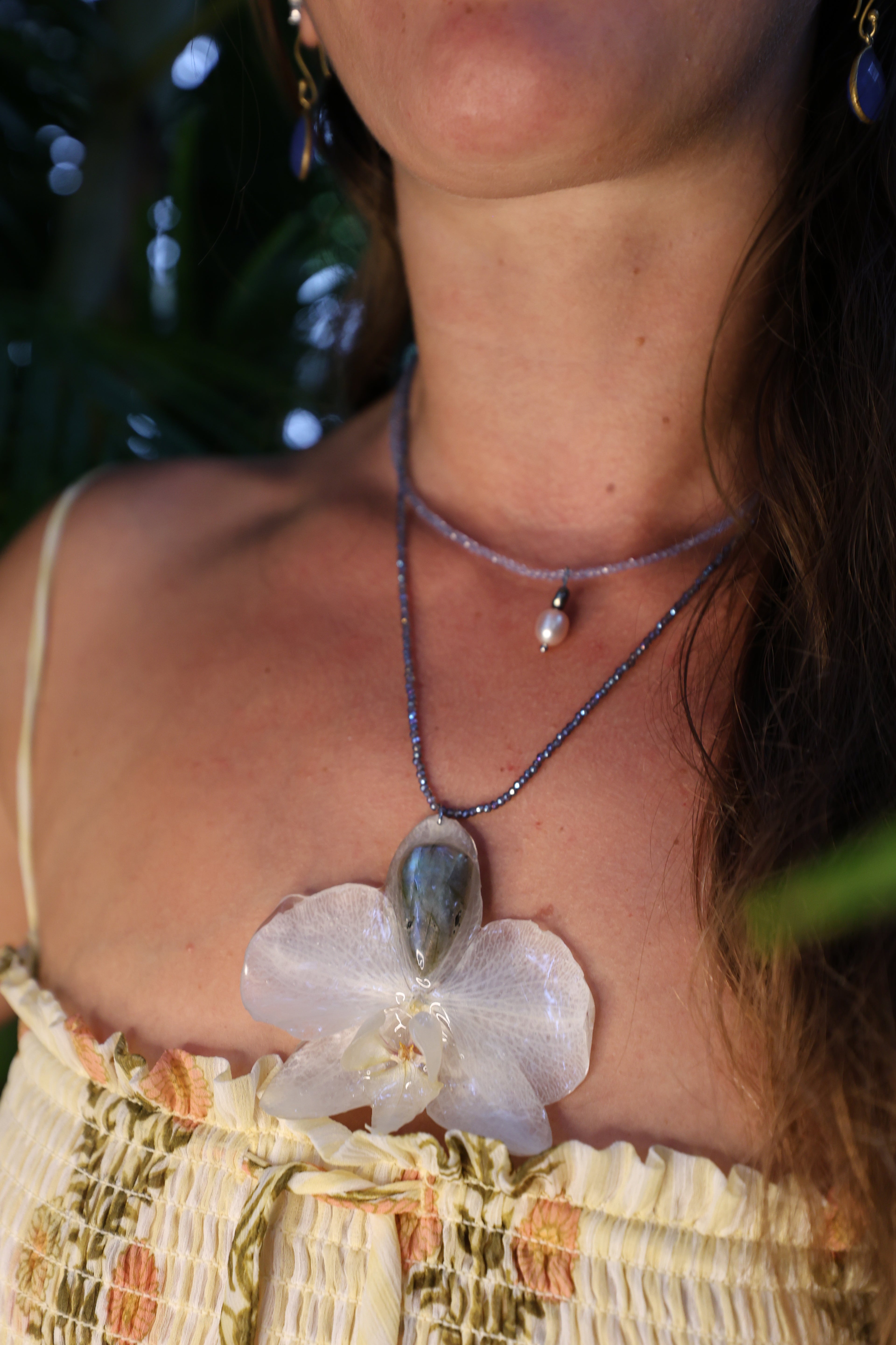 Orchid with labadorite