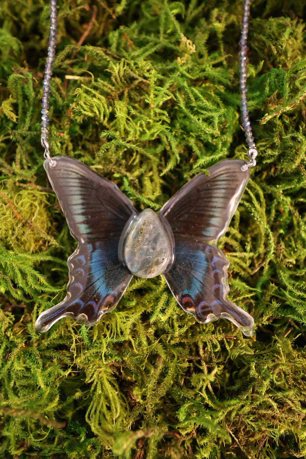 Butterfly #2 Drop 1