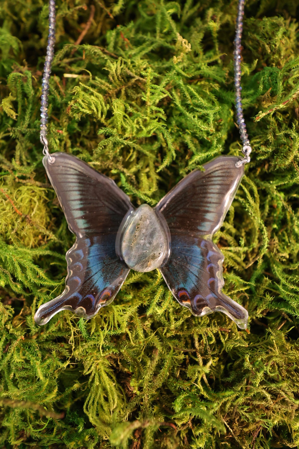 Butterfly #2 Drop 1