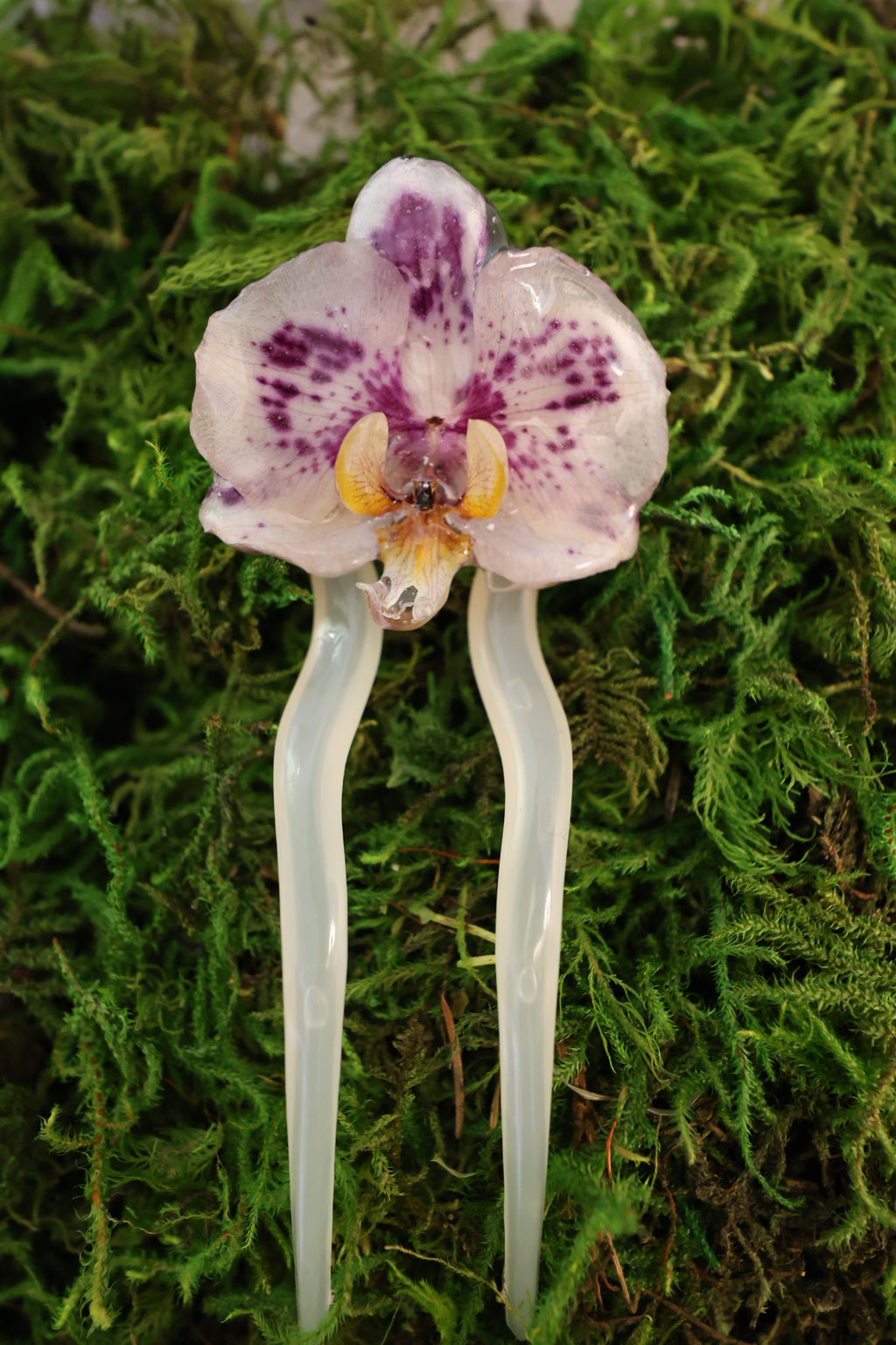 Spotted orchid, hairpin