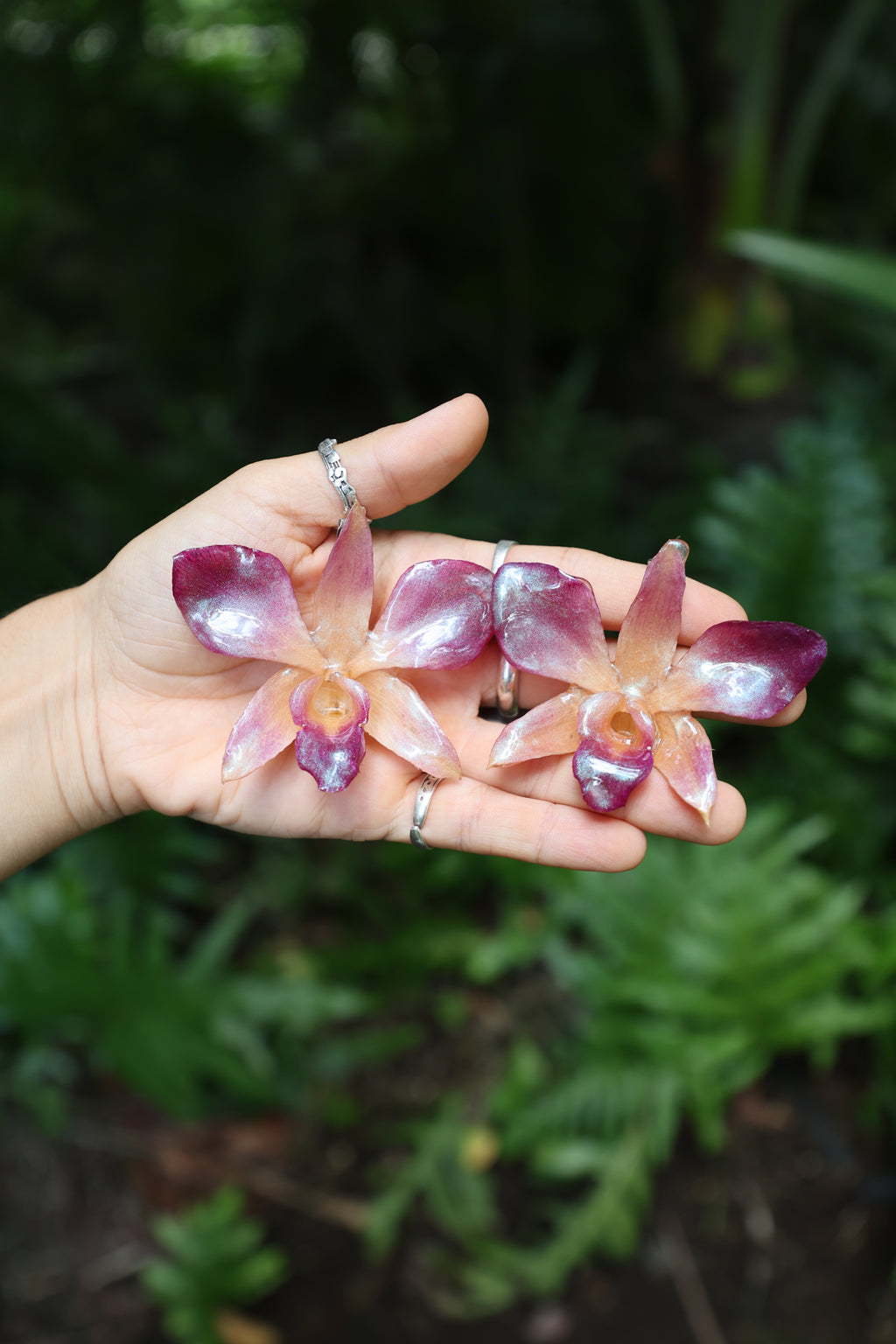 Earring with Matching clip (3 orchids)