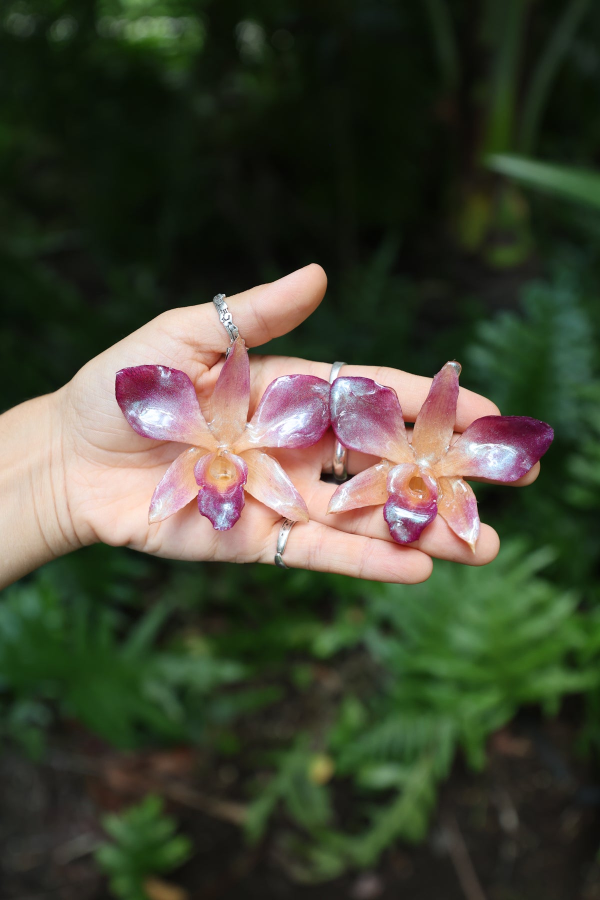 Earring with Matching clip (3 orchids)