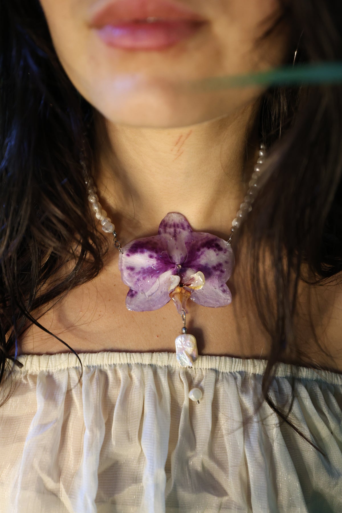 Pearl Orchid