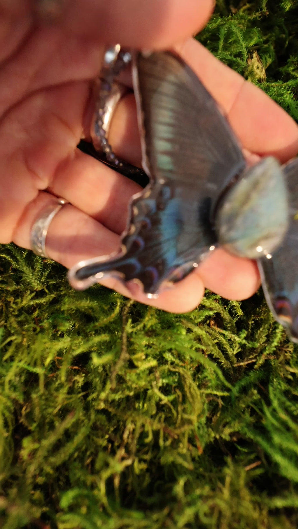 Butterfly #2 Drop 1
