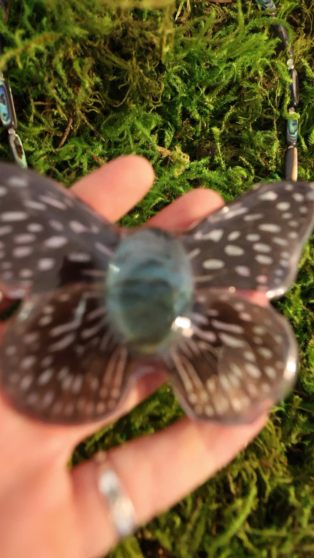 Butterfly #1 Drop #1